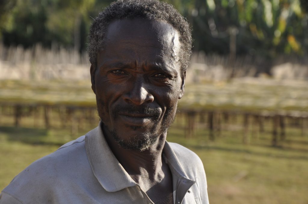 A coffee farmer in front of the raised drying beds