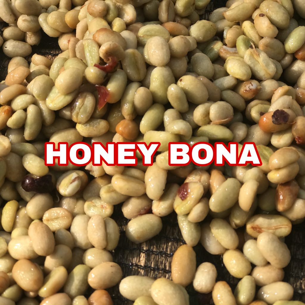 heleph coffee: Ethiopian coffee exporter: Honey coffee