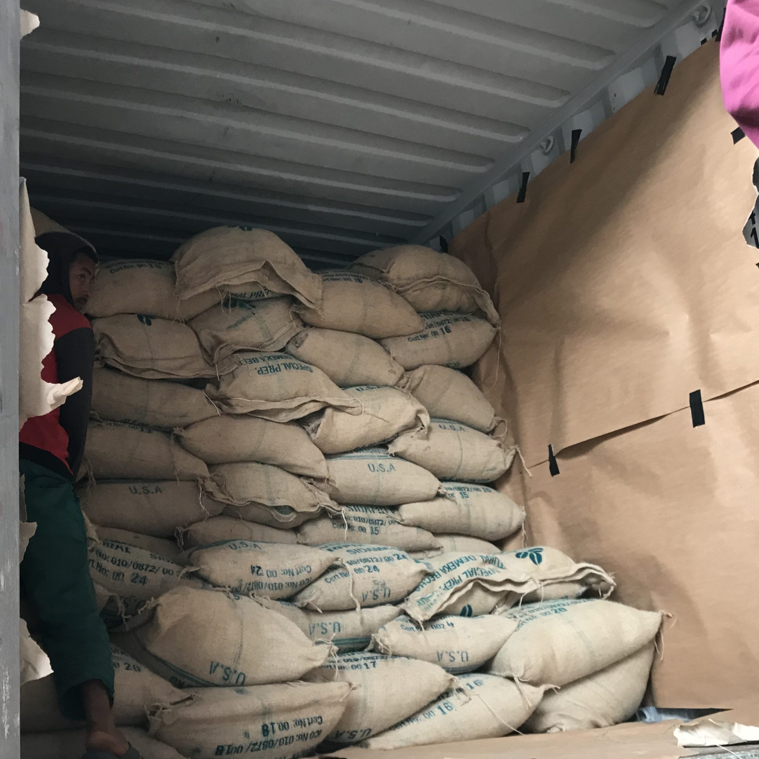 Sacks of green coffee loaded in a shipping container