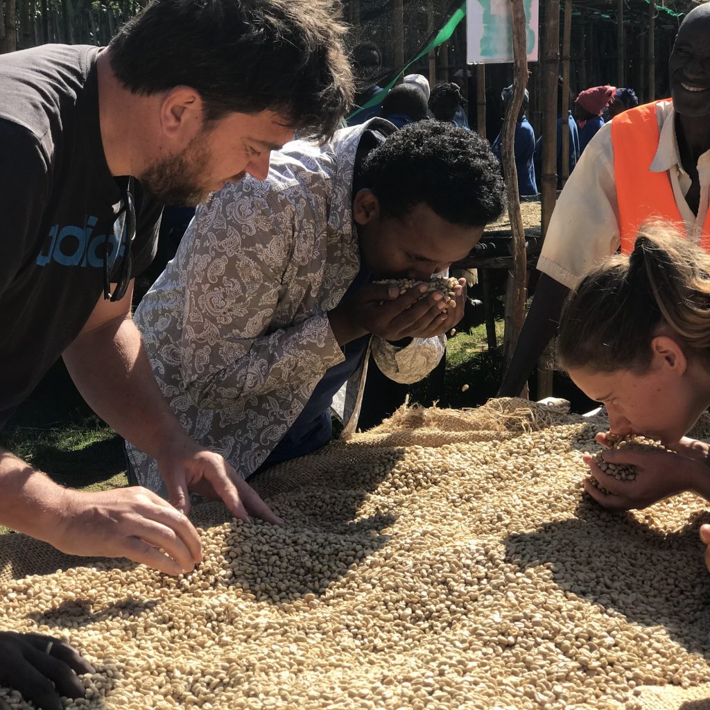 Visitors smelling freshly dried coffee with Heleph staff at a raised drying bed