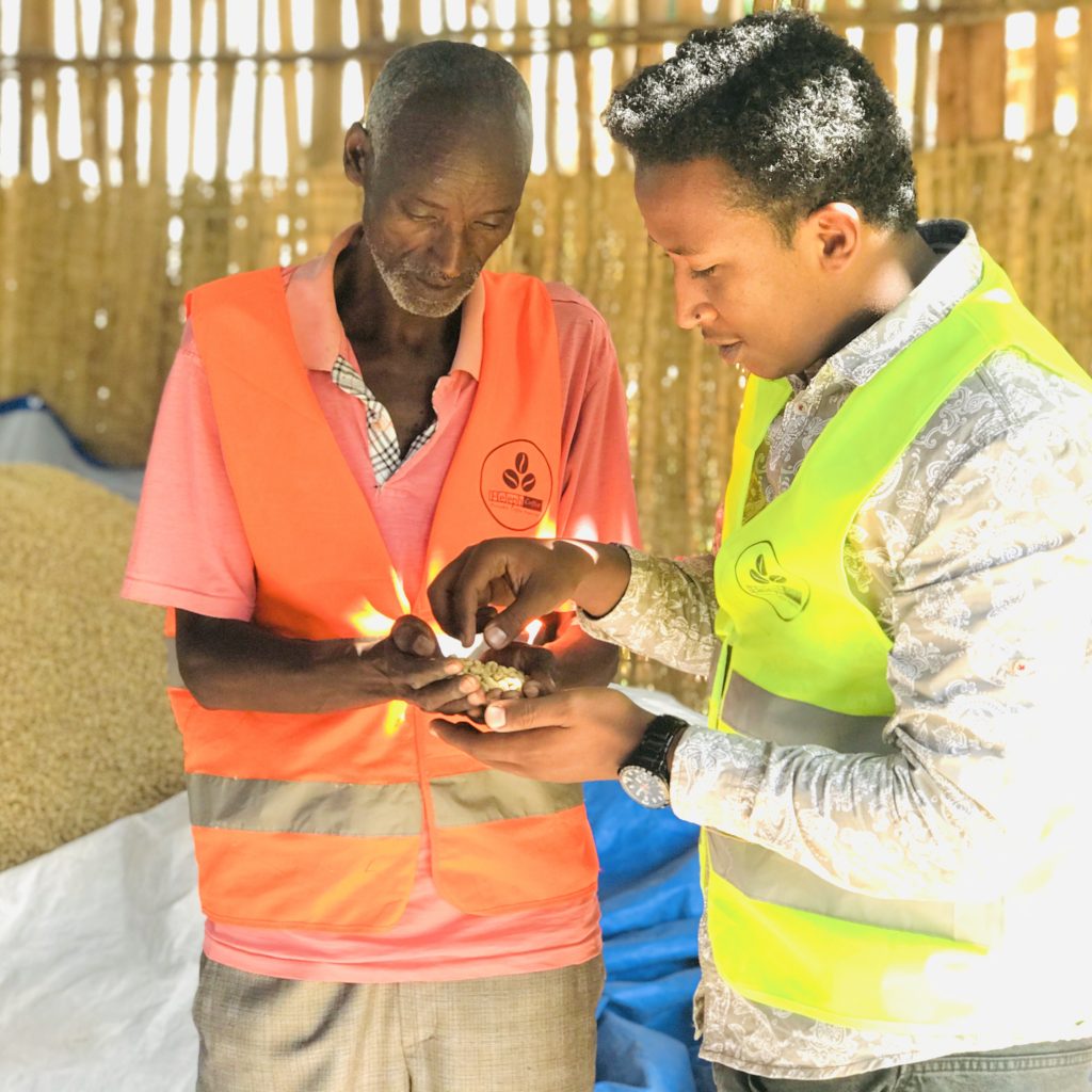 A Heleph field officer and a farmer examining parchment coffee together