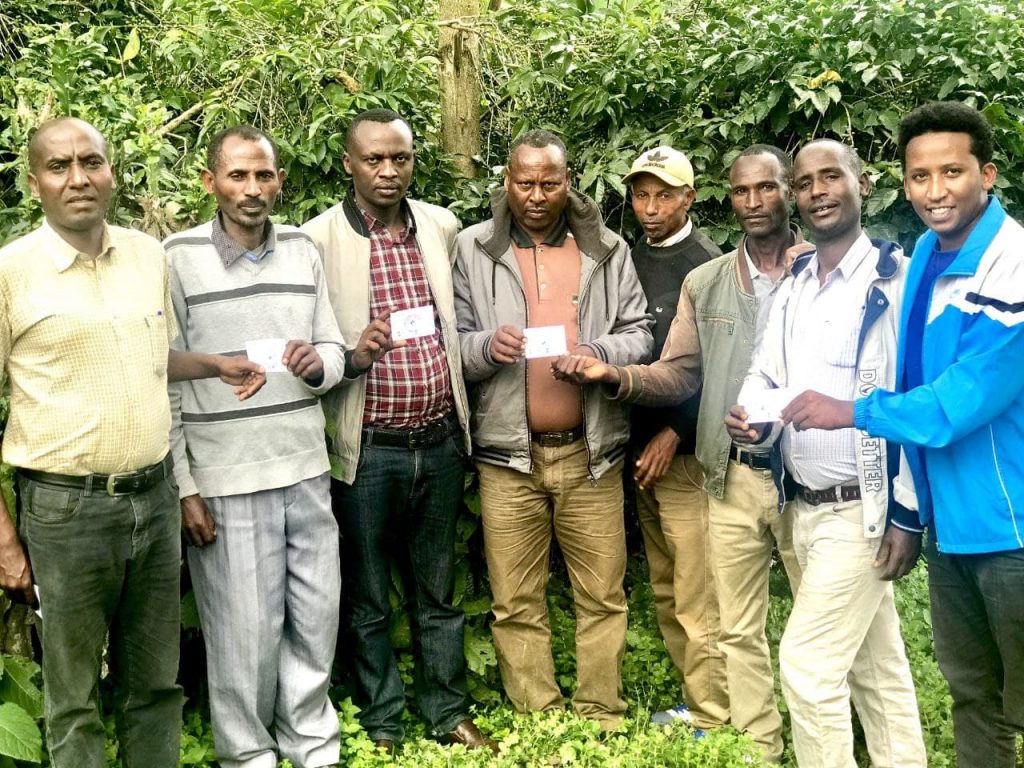 Smallholder partner farmers gathered together in a coffee garden