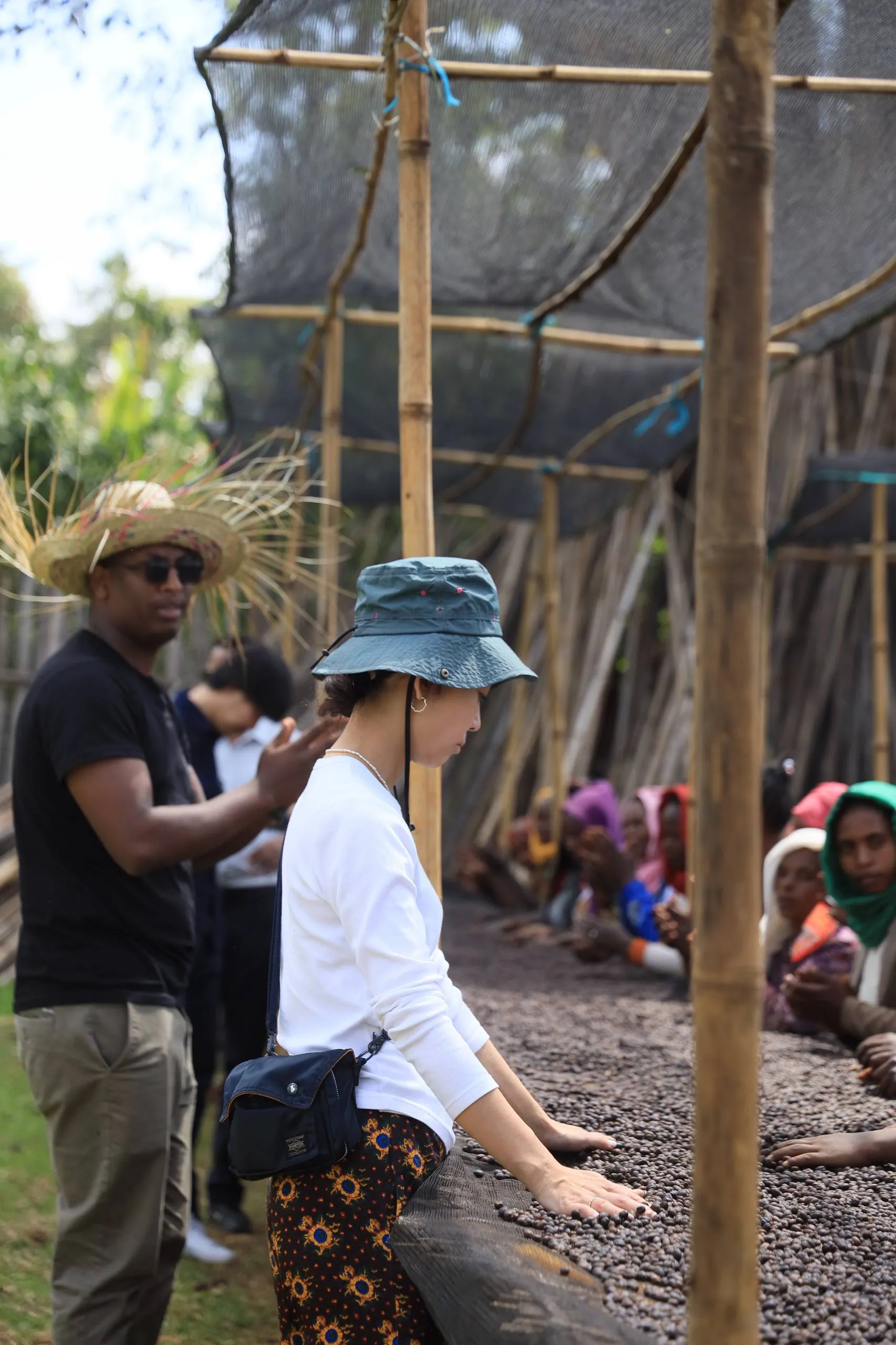 Bochessa Maleko coffee gardens in Yirgacheffe, Ethiopia