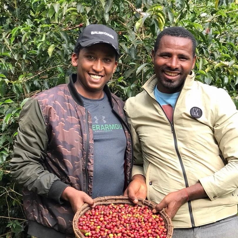 Degife Burka coffee farmer in Miride, Sidama, Ethiopia