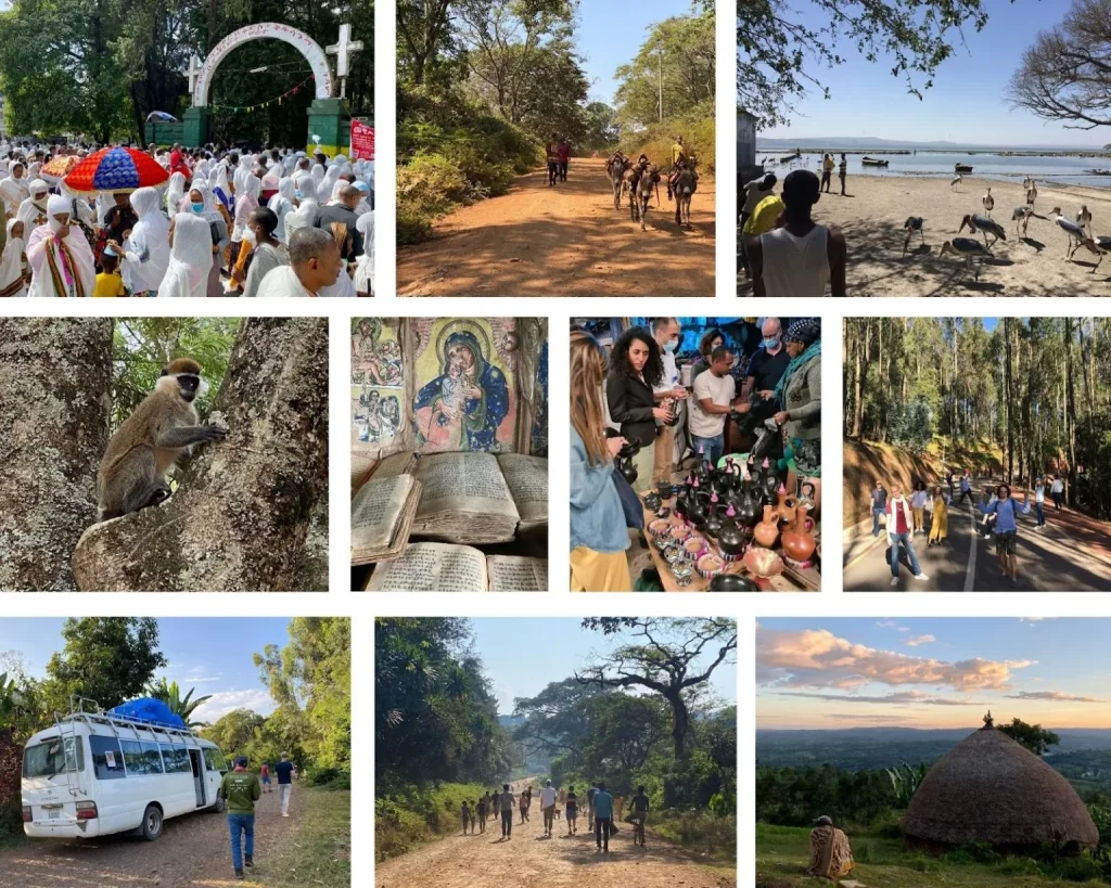 Collage: a church festival procession, donkeys on a dirt road, marabou storks on a lakeshore, a monkey in a tree, illuminated manuscripts, a market of clay coffee pots, a forest road walk, the tour minibus, and a thatched hut at sunset