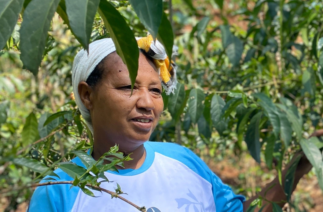 Meselech coffee farmer and Ethiopian coffee farming