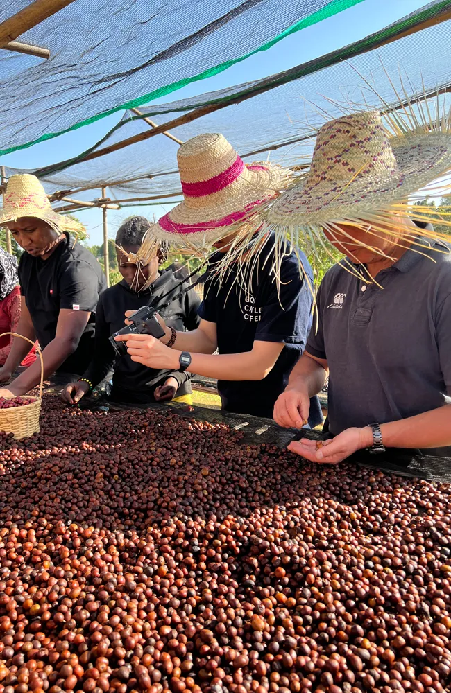 roasters-helephco-converted-from-jpg