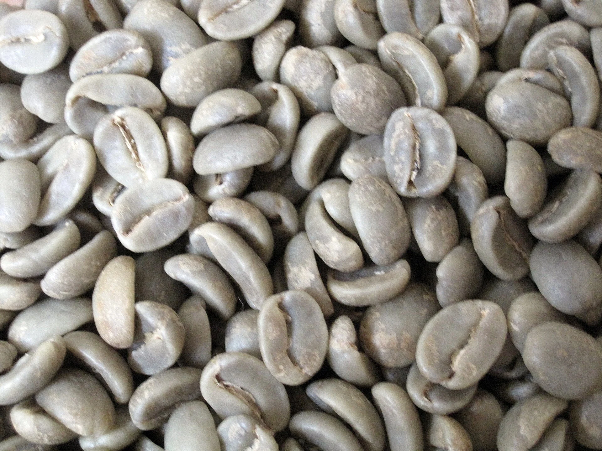 Unroasted green Arabica coffee beans