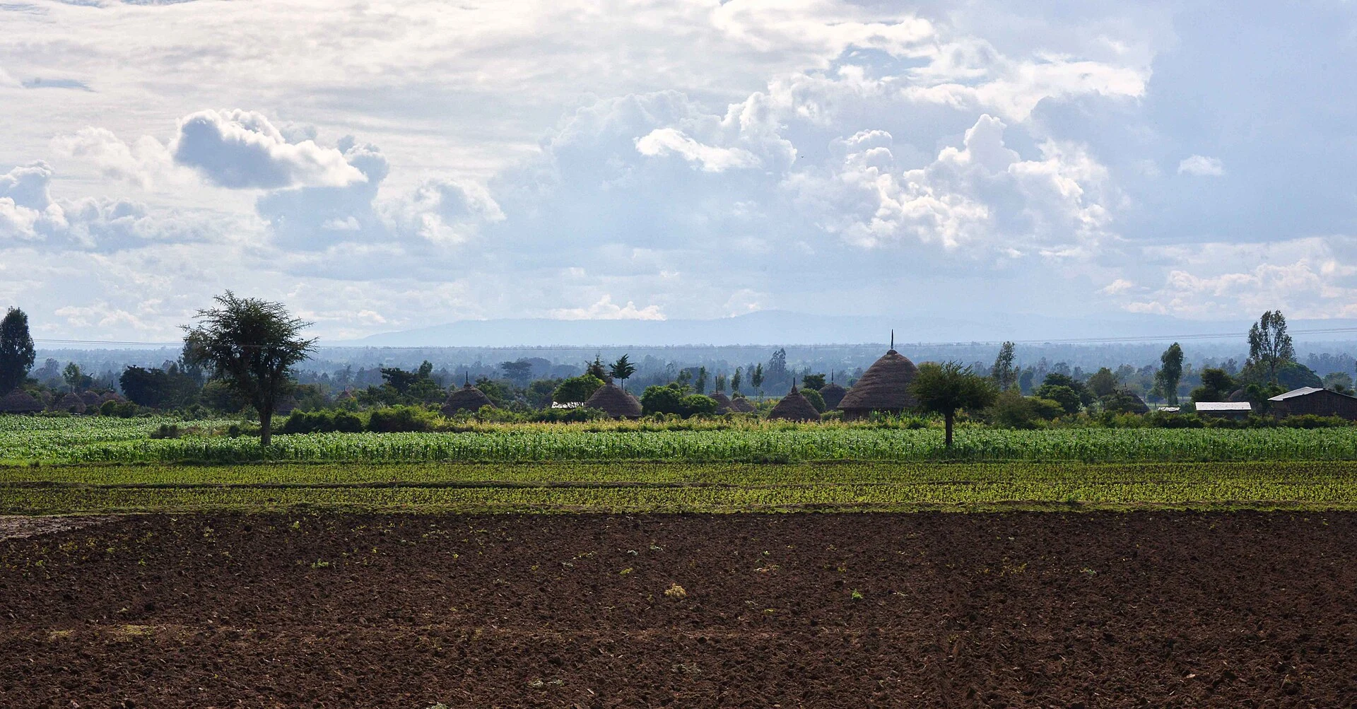 Smallholder farmland in the Ethiopian highlands