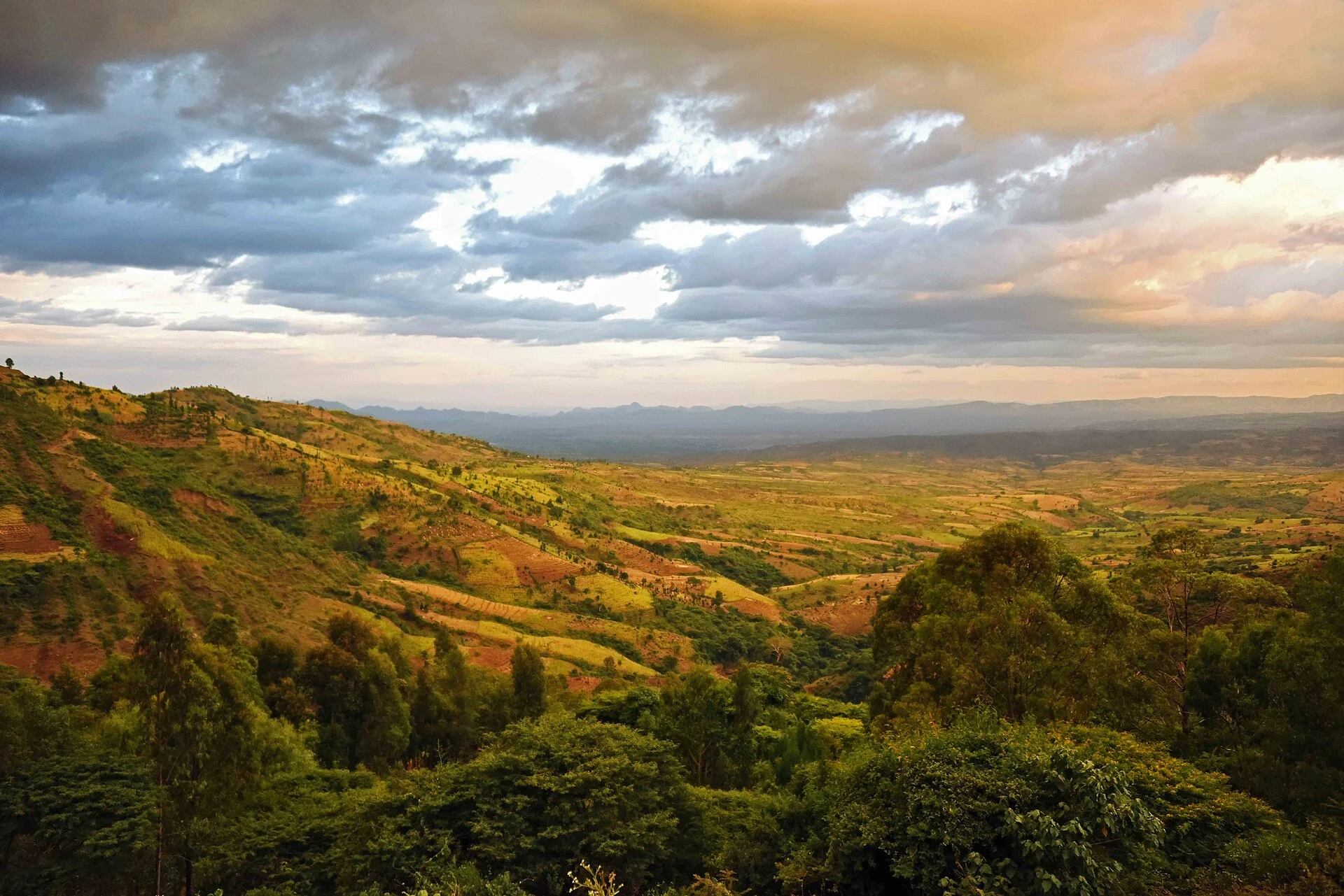 Terraced farmland in southern Ethiopia