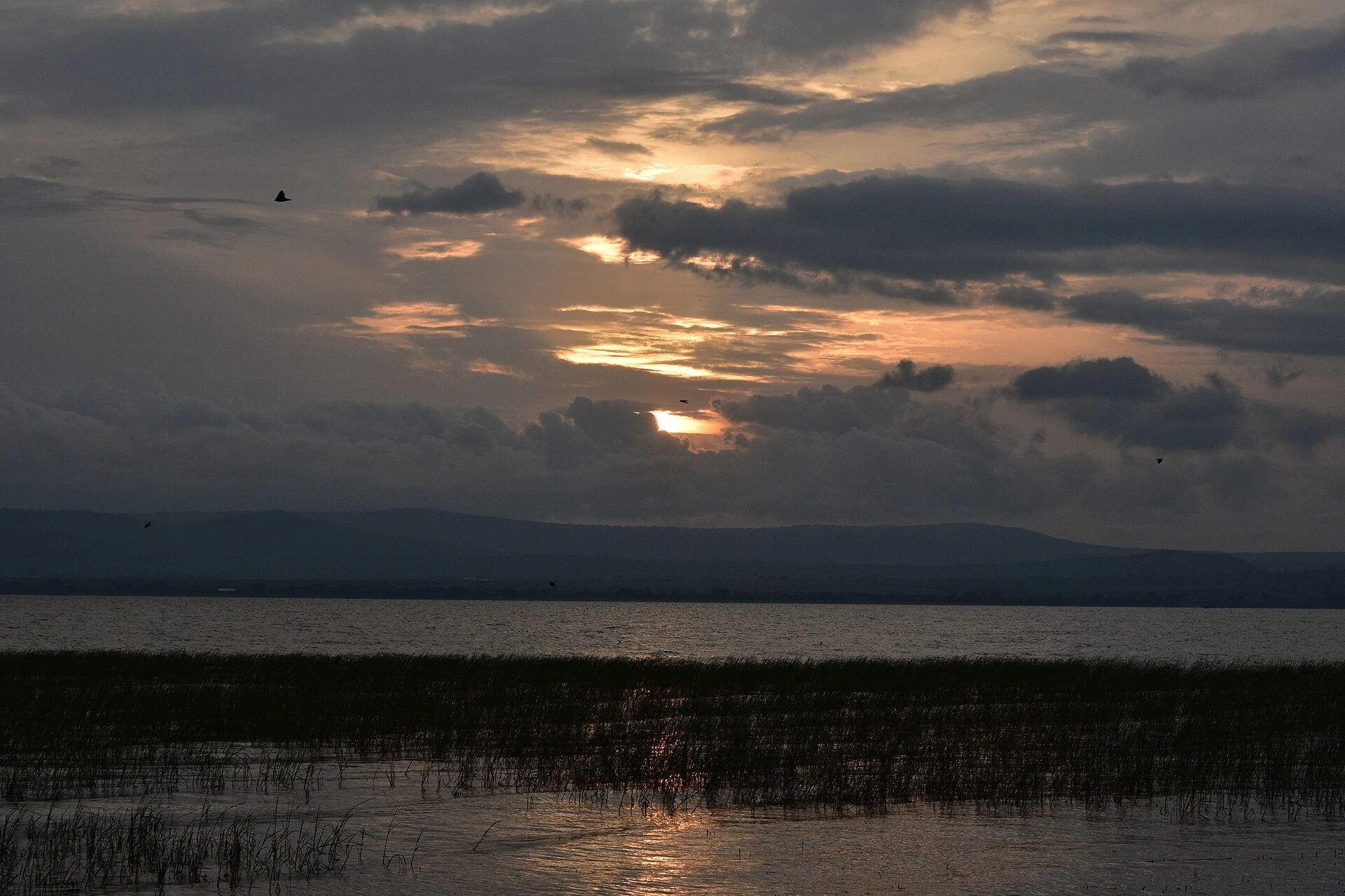Sunset over Lake Hawassa, the capital of the Sidama Region