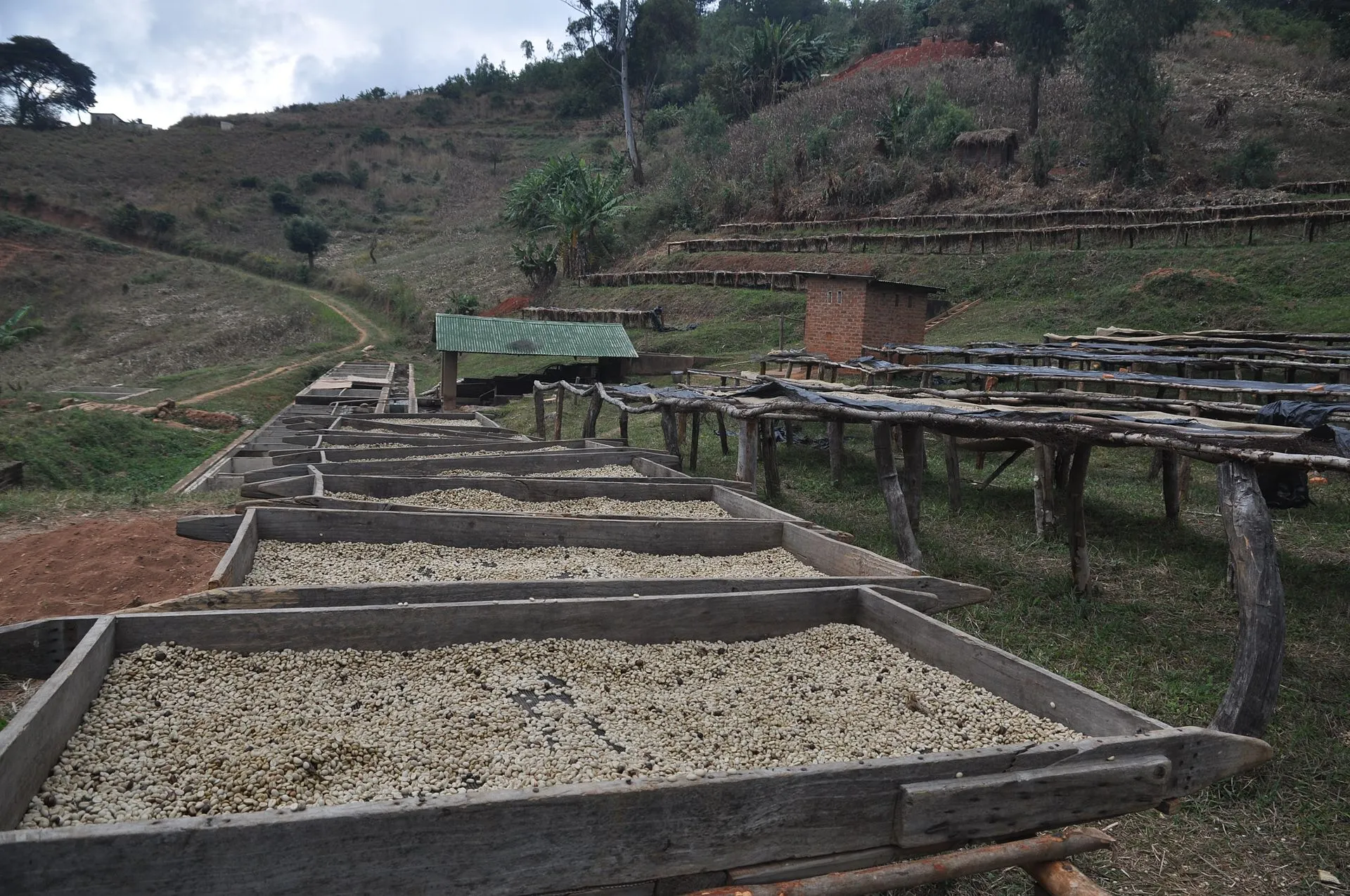 Sieves and drying racks used in coffee processing