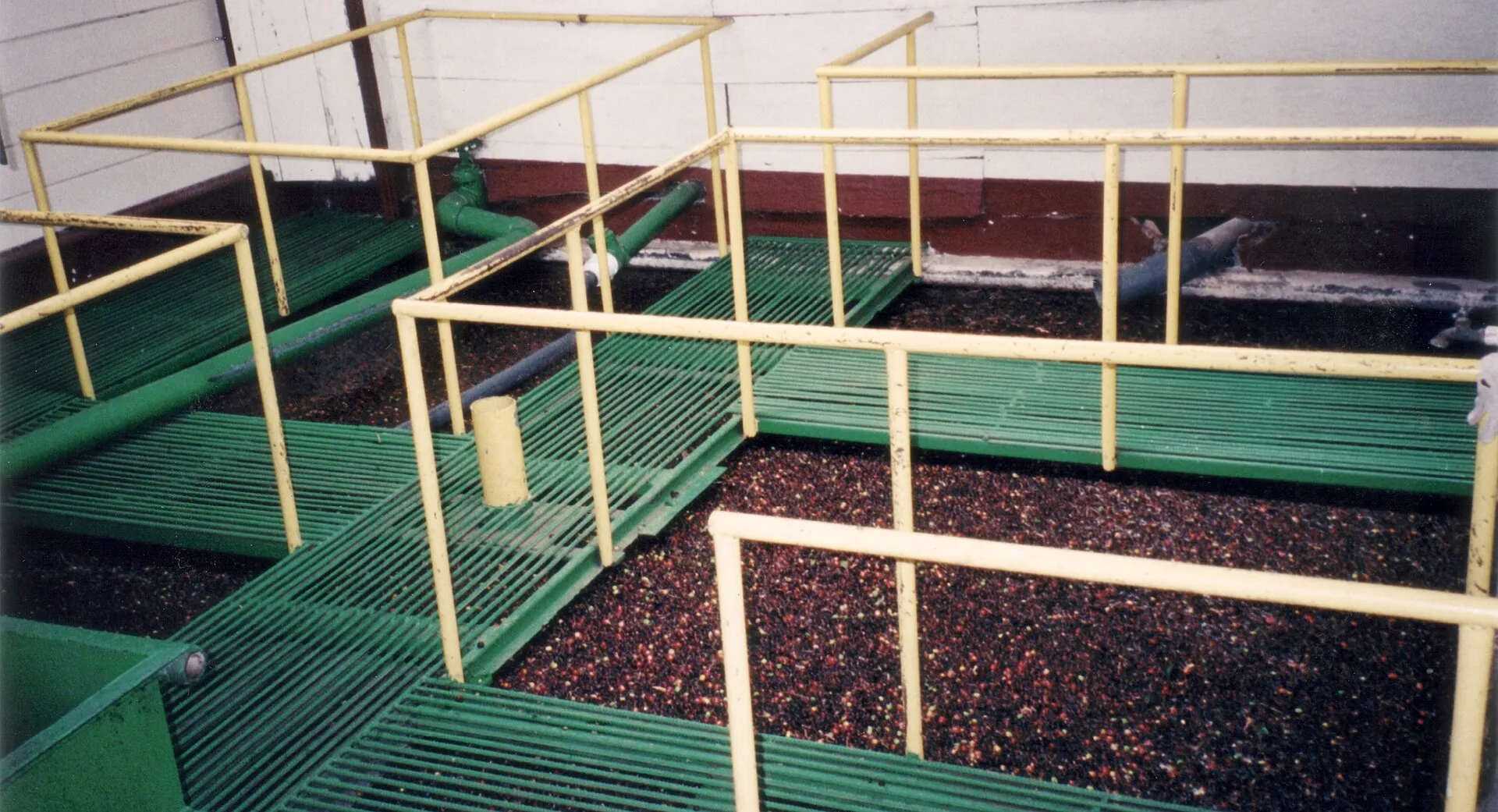 Water vats used for fermenting and separating coffee