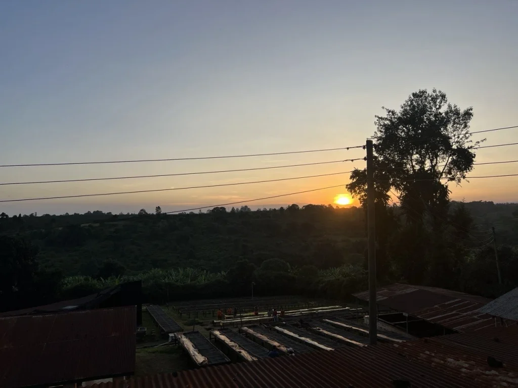 Sunrise over the coffee farm and washing station