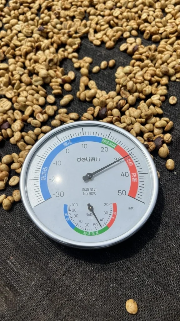 Measuring temperature and humidity on drying parchment