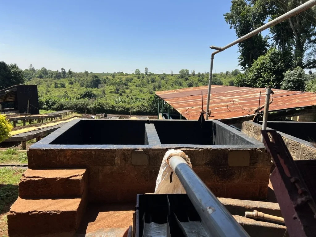 Washing station tanks overlooking the farm