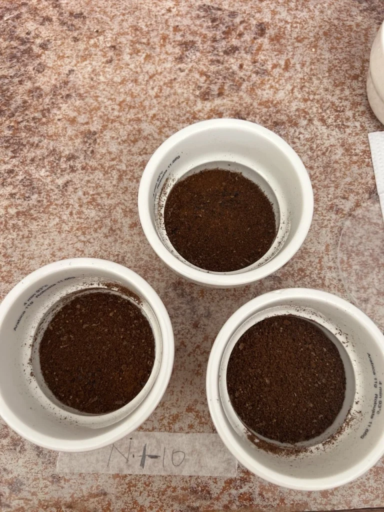 Ground coffee samples prepared for cupping