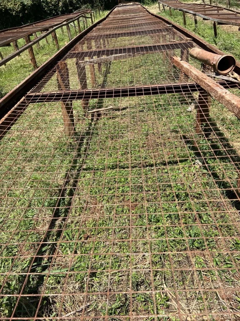 Raised drying bed frames