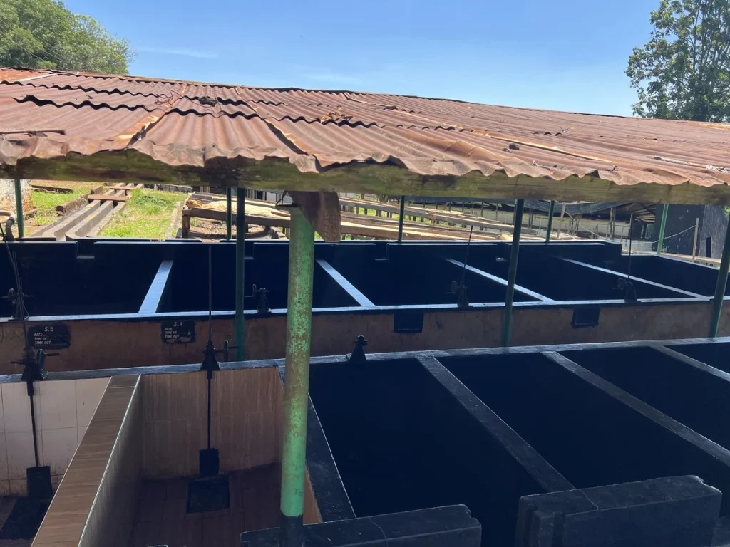 Fermentation tanks at the washing station