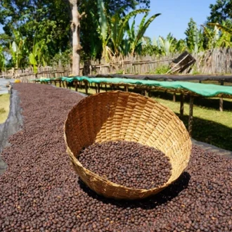 Demeka-becha-coffee